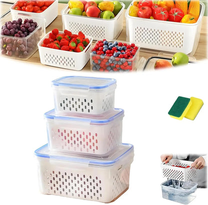 FreshLock™ Fruit & Veggie Containers - Single